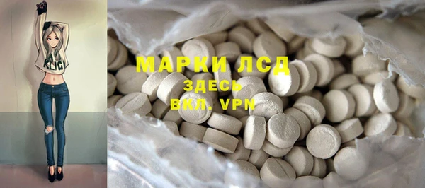 прущие грибы Дмитриев