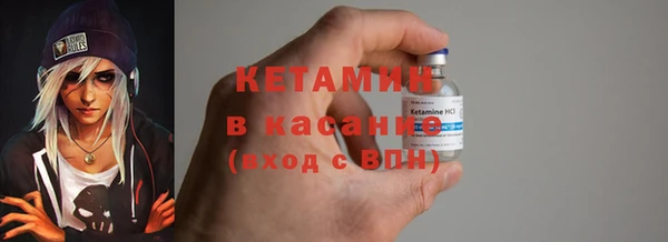 прущие грибы Дмитриев