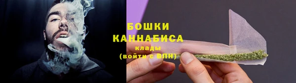 прущие грибы Дмитриев