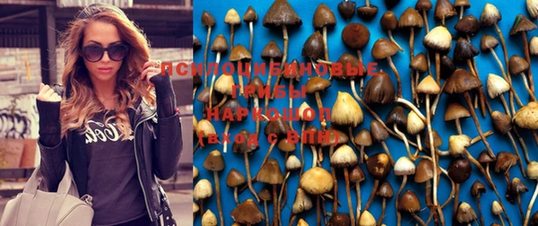 каннабис Дмитровск