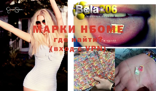 прущие грибы Дмитриев