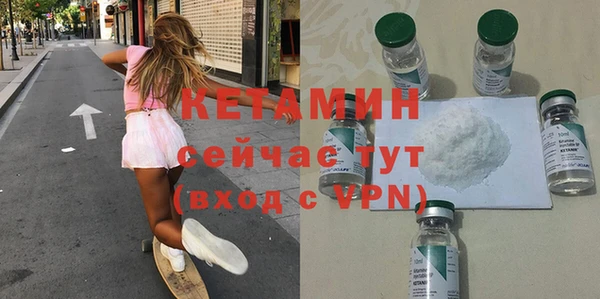 прущие грибы Дмитриев