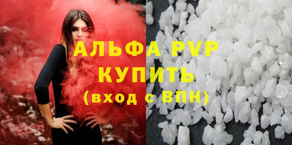 прущие грибы Дмитриев