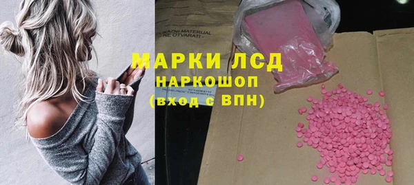 прущие грибы Дмитриев