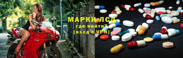 прущие грибы Дмитриев