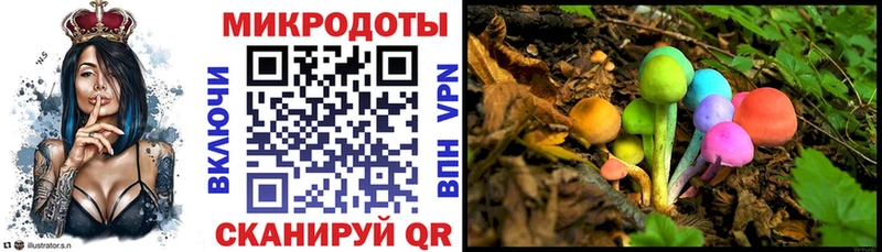 Галлюциногенные грибы Psilocybine cubensis  Купить закладки  Ковылкино 