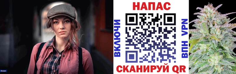 Купить где  Ковылкино  Шишки марихуана OG Kush 